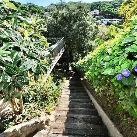 Belvedere
